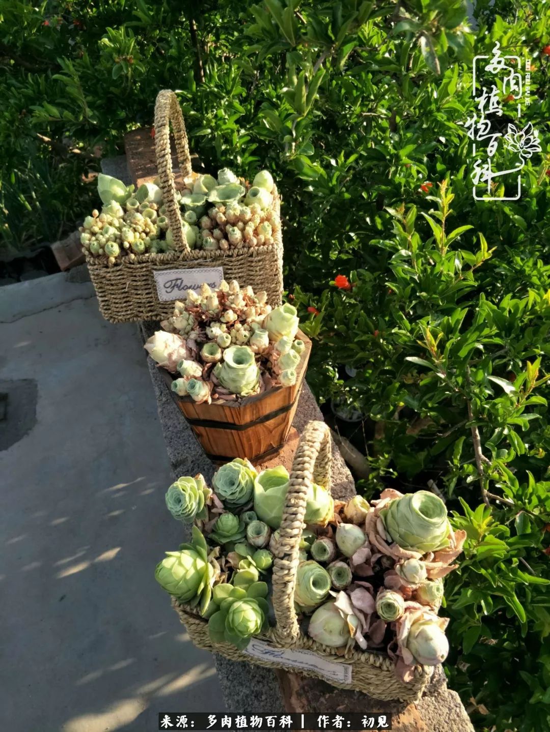 紧张焦虑高考,高考紧张时刻有你陪伴