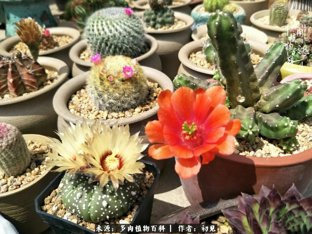 紧张的高三生活也需要适度的放松,紧张焦虑高考