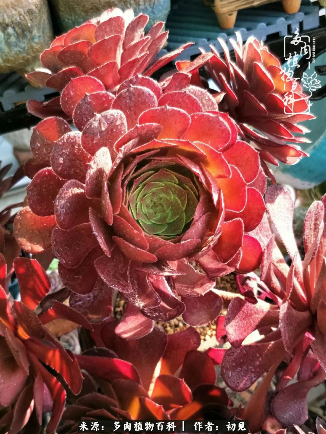 紧张的高三生活也需要适度的放松,紧张焦虑高考