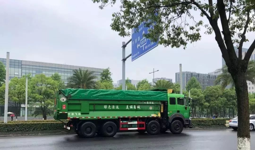 宁波中医院体检报告,宁波新诚体检报告查询