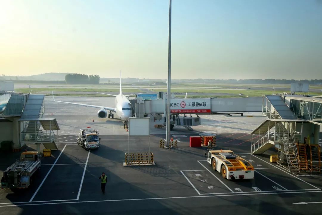 郑州跻身全国前5,金榜题名全国各省排名