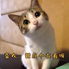 10块钱以内的护肤品都有什么,10块钱护肤好东西