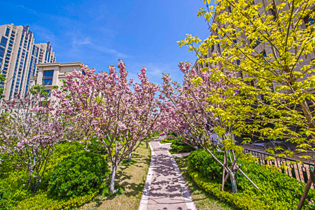 无房无户口入学条件,无房无户口孩子能择校入学么