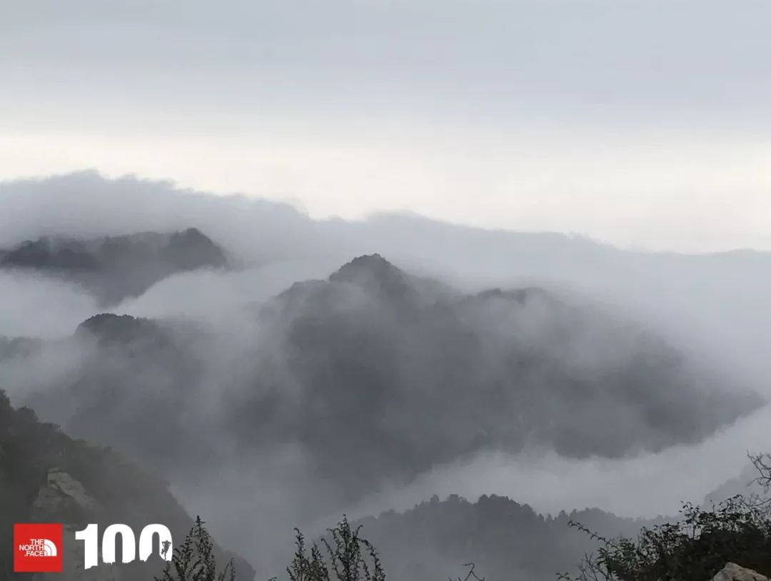 tnf100官网成绩查询,tnf100秦岭国际越野跑