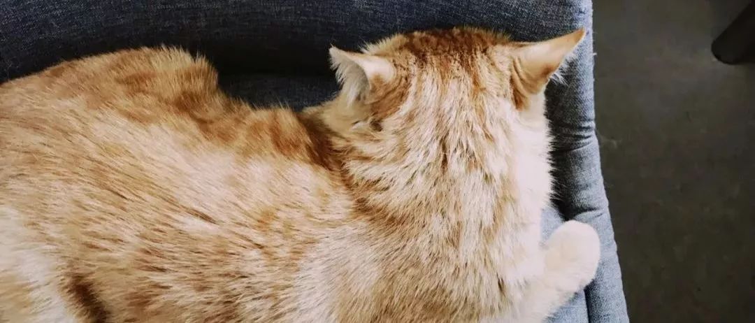 该以怎样的表情,面对周一?|一周新书