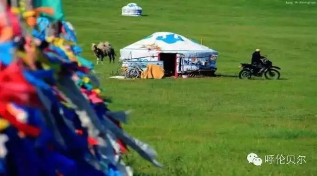 呼伦贝尔大草原旅游景点,呼伦贝尔景点合集