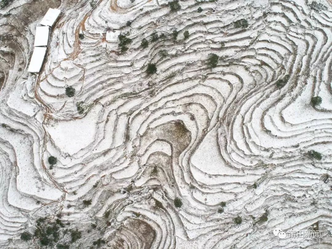 不只做红木、开金店！莆田人还会“滚雪球”?