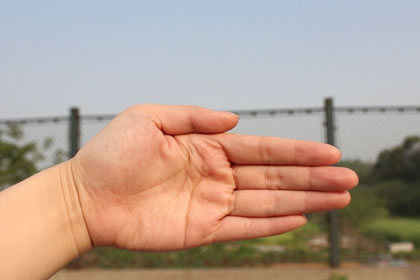 手相最好命的手纹男,手相有王字手纹左手