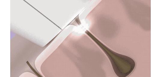 在家里就可以脱毛的小技巧,在家就能轻松脱毛的小技巧