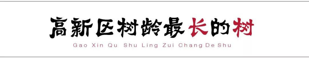 请回答2017,请回答2020总结