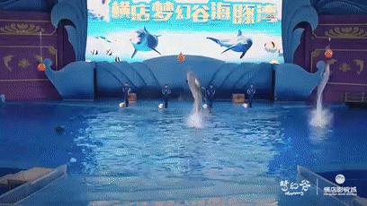 横店成毅烟花,横店五一烟花秀