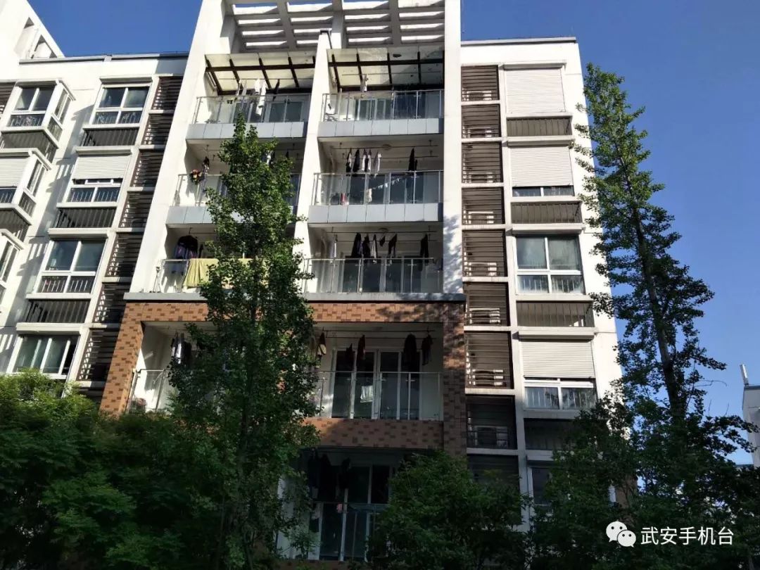 三千武安儿女下扬州，他们生活得怎么样？