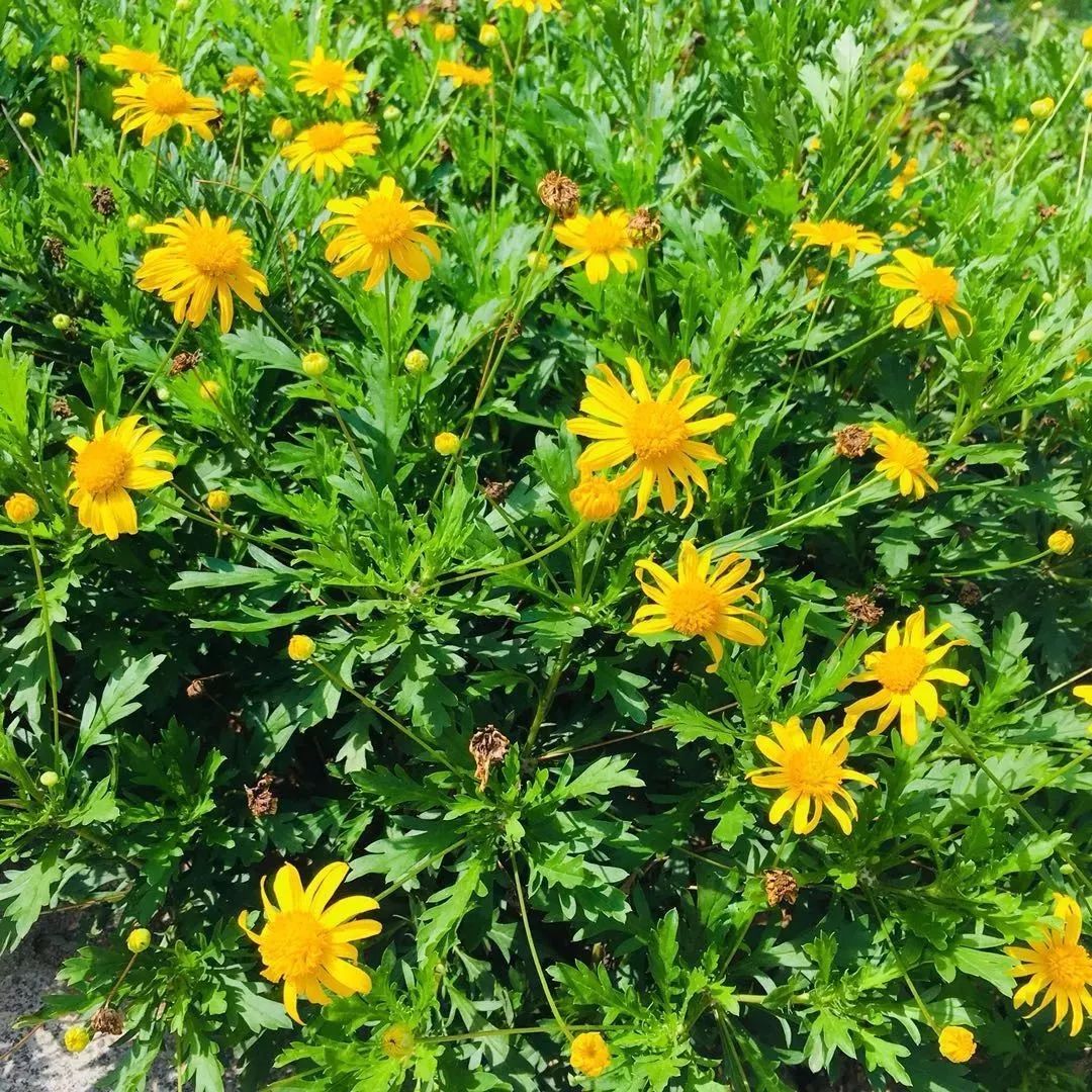 鍐涜繍鏉戣繍鍔ㄥ憳浣忓,鍖椾含鍐涜繍鏉戣繍鍔ㄥ憳鍏瘬