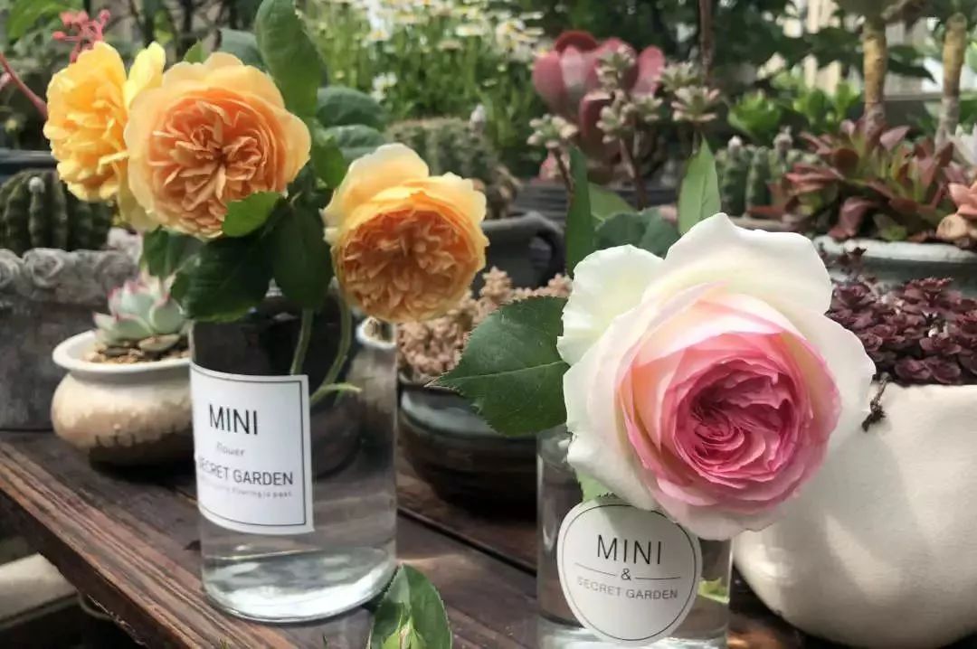 打造美好幸福的家,打造一片天地