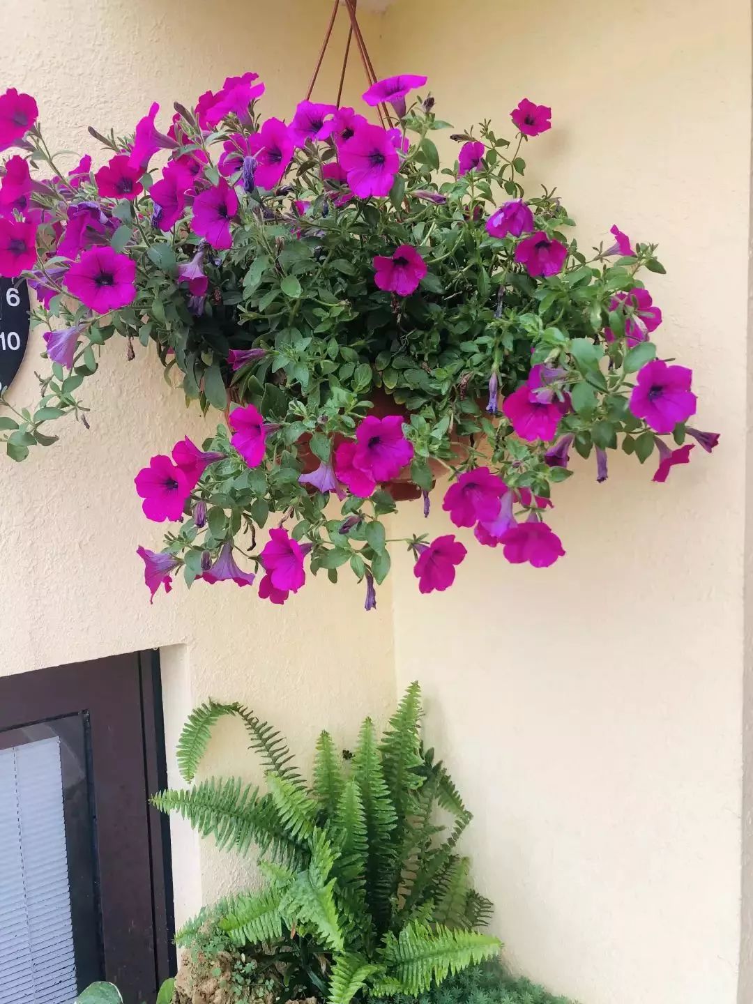 打造美好幸福的家,打造一片天地