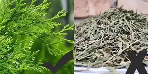 地中海头发改善视频,头发浓密但是有斑秃