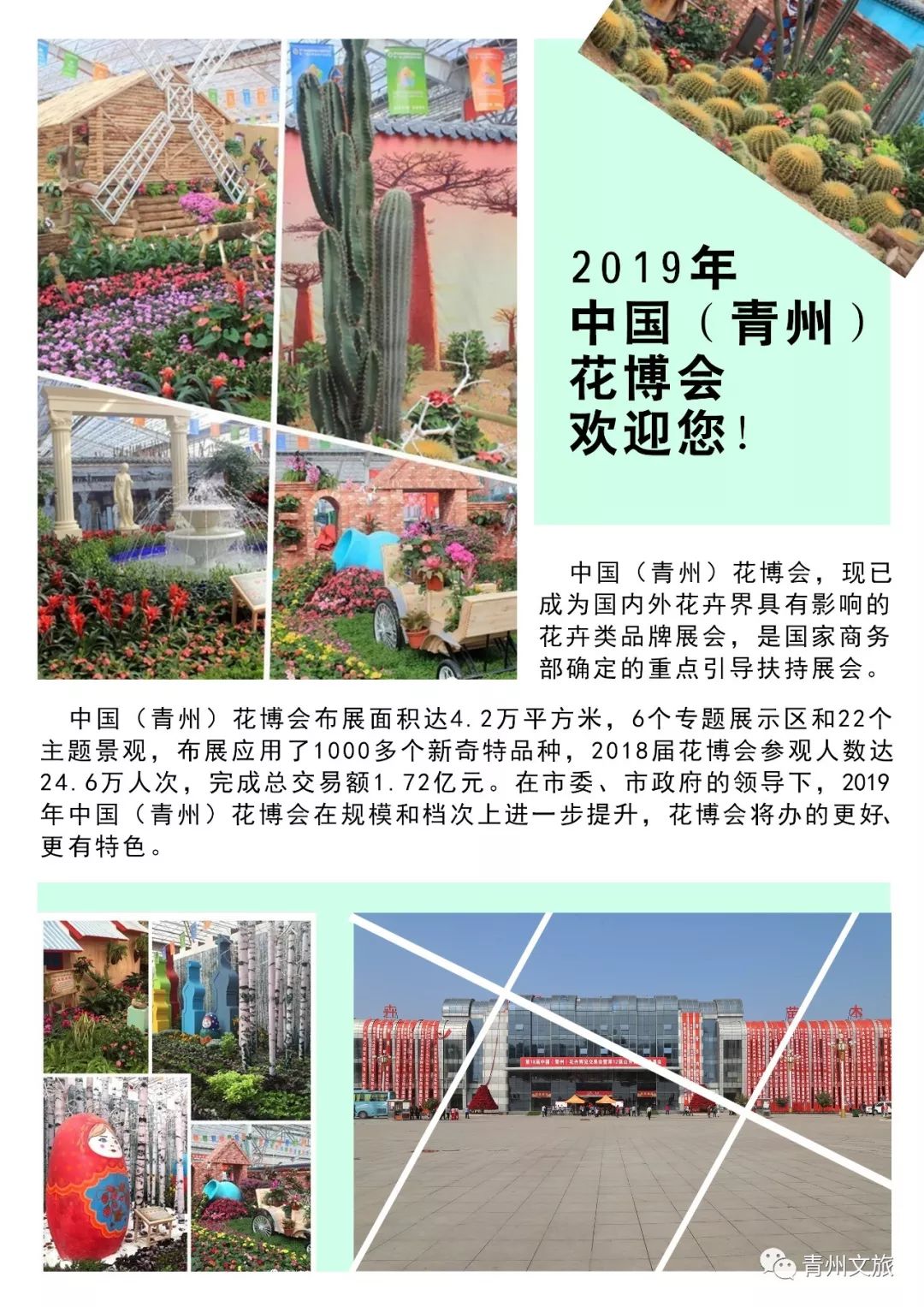 青州有什么商品,青州旅游购物