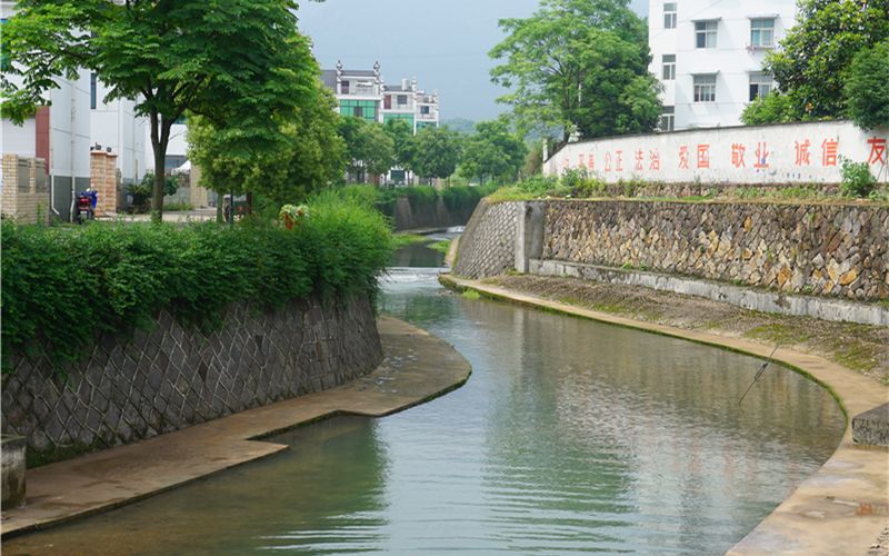 家门口的河道颜值内涵双提升,家门口的河道变美了