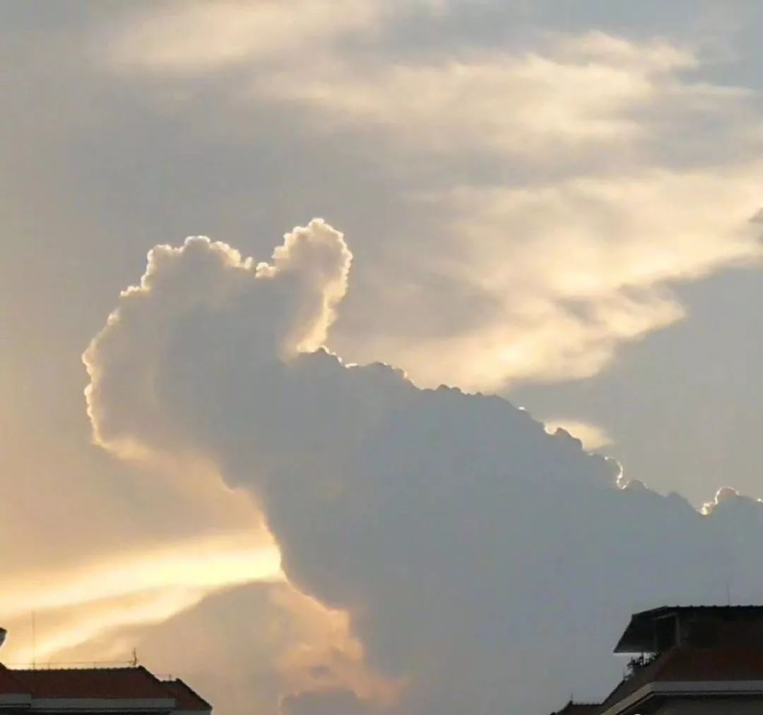 江苏省镇江市中考满分作文,较难的中考作文题目