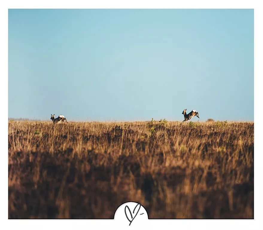 李宗盛最经典的十首歌,李宗盛20首经典歌