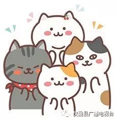 县上表彰优秀村支部书记,表扬村支部书记