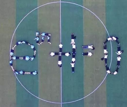 欧拉逻辑推理故事,欧拉数学分析