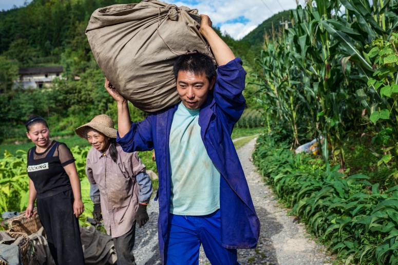 抓党建促脱贫乡村振兴思路,抓党建促乡村振兴典型案例