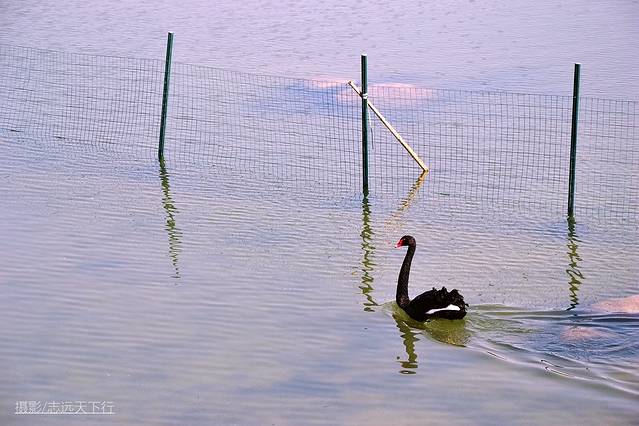 厦门最值得带孩子去玩的景点,带孩子厦门室内旅游景点推荐