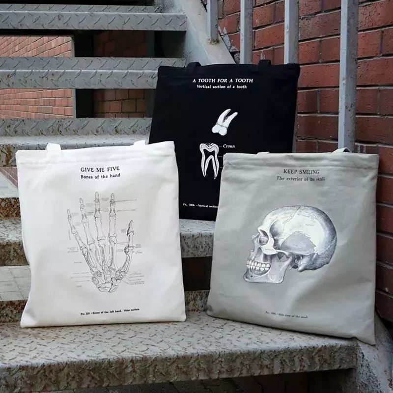 我就不信，只有我一个人想试试人体解剖丨好物推荐