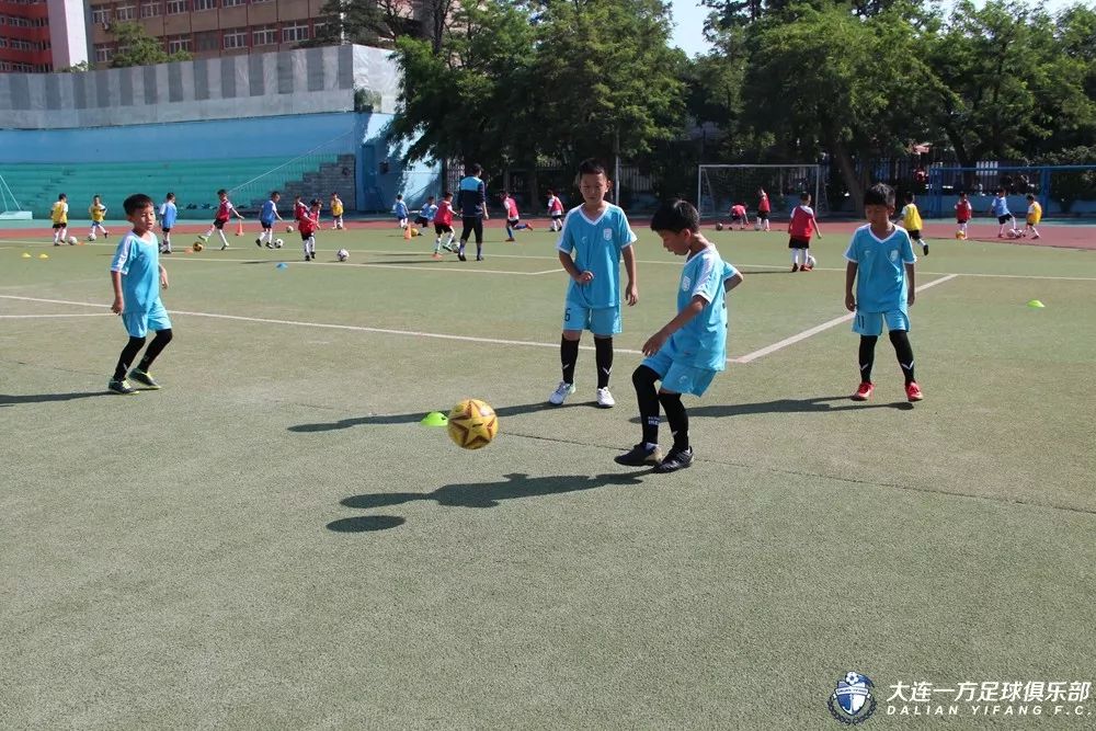 蓝队青训国青,中国青训与国外青训