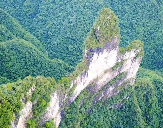 长阳城,长阳向阳花开