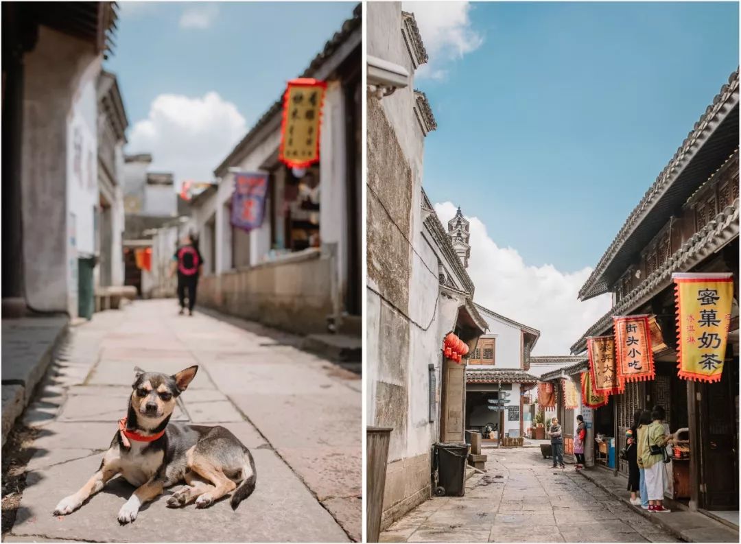 这座跟着周杰伦空降热搜的杨梅味小城,休渔期也能让你吃得满嘴鲜
