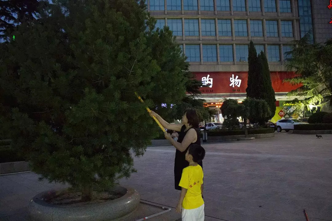 莱州广场有哪些,莱州好玩的公园