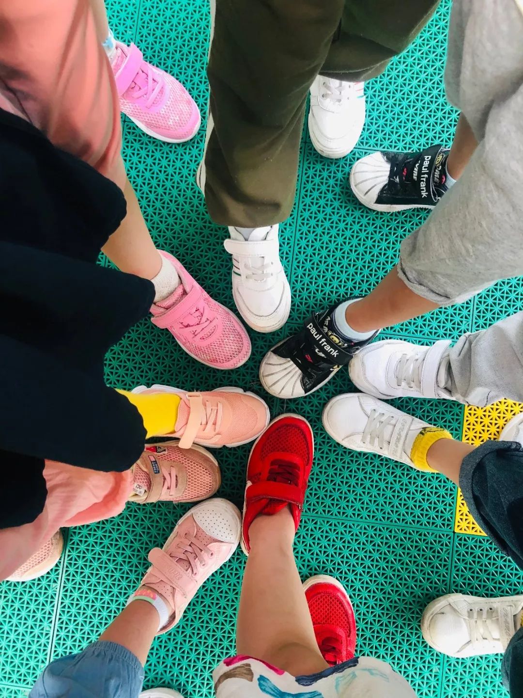 百合花课程,百合花课堂导入