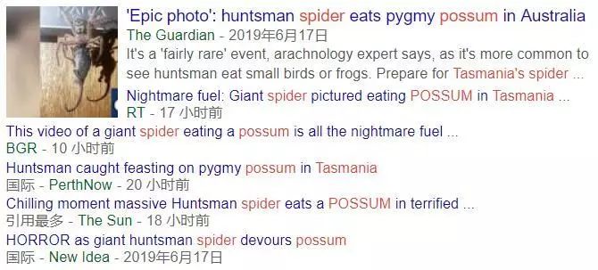 澳大利亚现巨型蜘蛛,澳大利亚巨型蜘蛛在哪出现