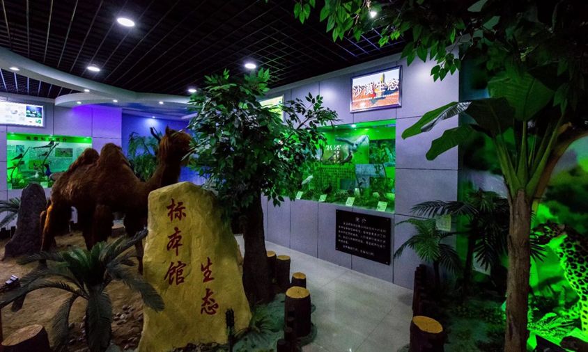 六安一中东校区公示,六安一中东校区是哪个区