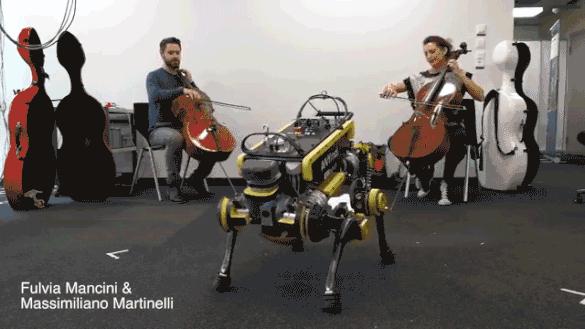 破冰行动|词缀Ped-的那些事