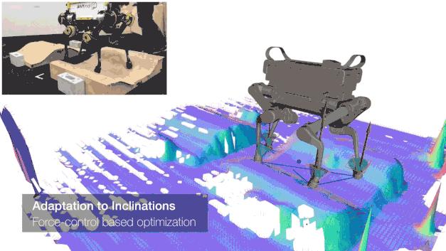 破冰行动|词缀Ped-的那些事