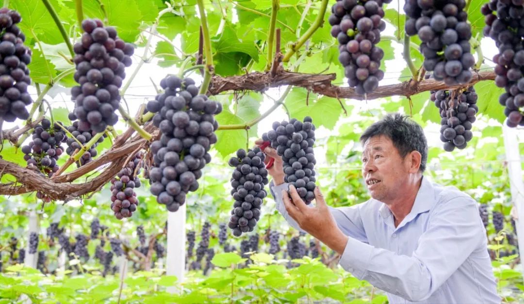 6月光影,六月湖州景色