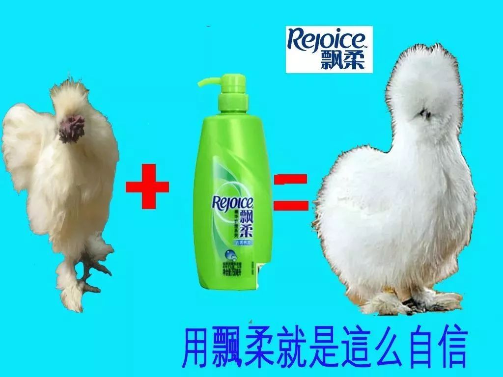 上古神兽文案,上古邪神文案句子简短