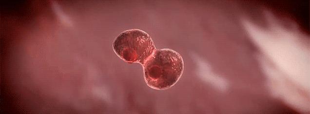 优衣库现场采访,优衣库吴品慧