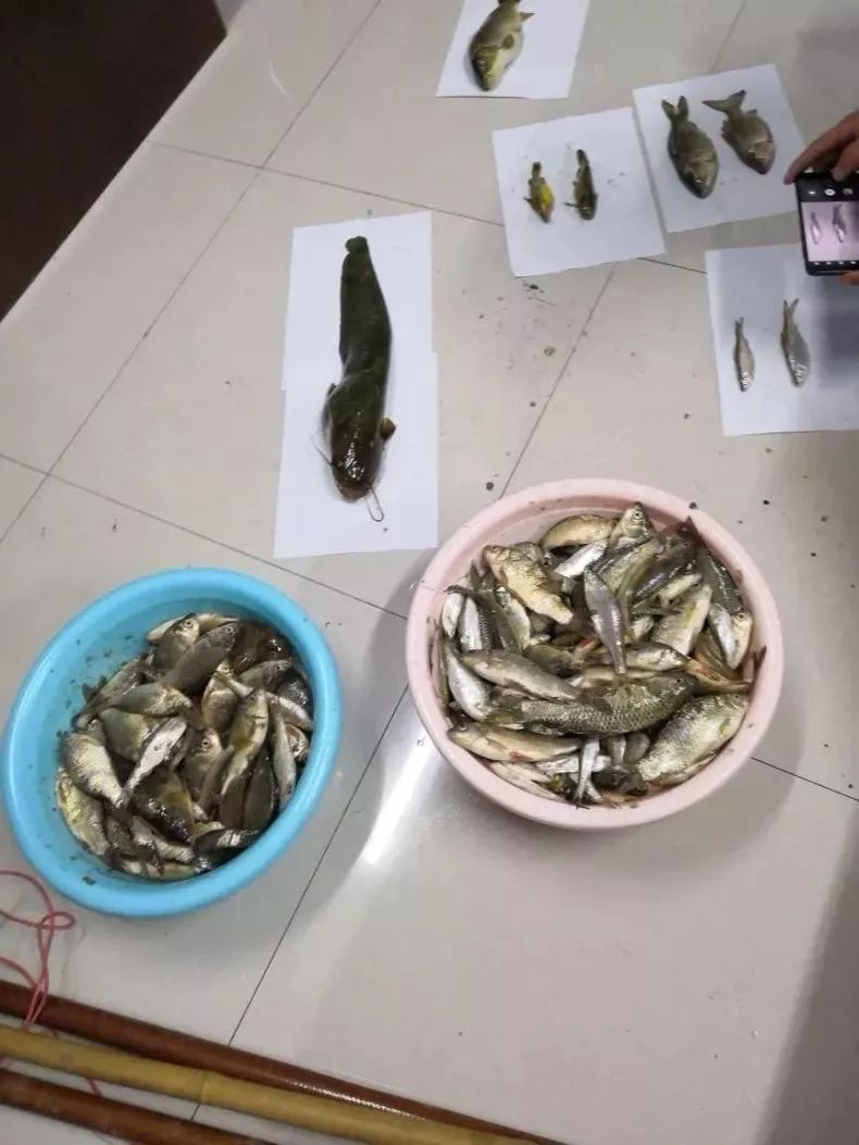 【践行新使命忠诚保大庆】凝心聚力,同向而行