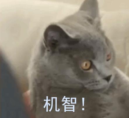 成都夏日清凉去处附近,成都避暑一日游地铁