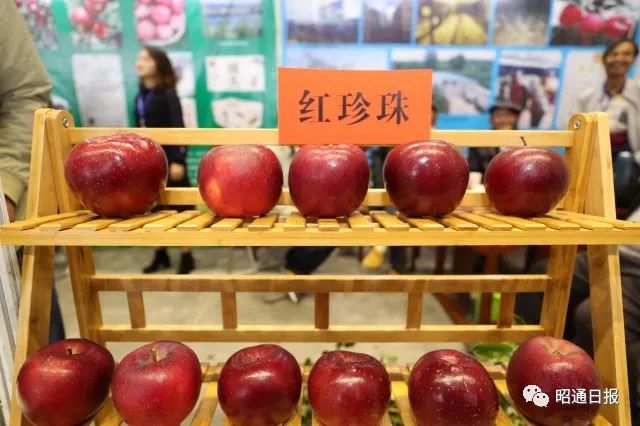 苹果之城是指哪个城市,苹果之城是哪里