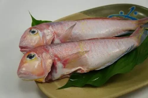 日照有什么好玩的地方,日照金山