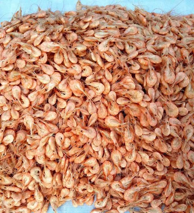 日照有什么好玩的地方,日照金山