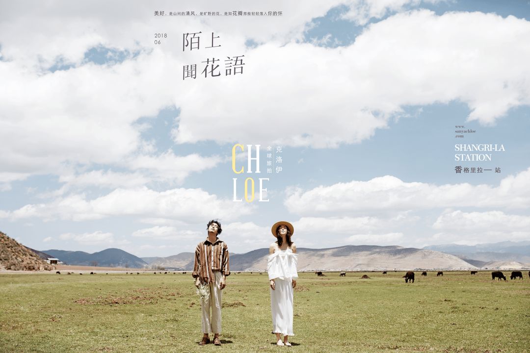 婚纱照值得拍的风格,拒绝影楼风婚纱照