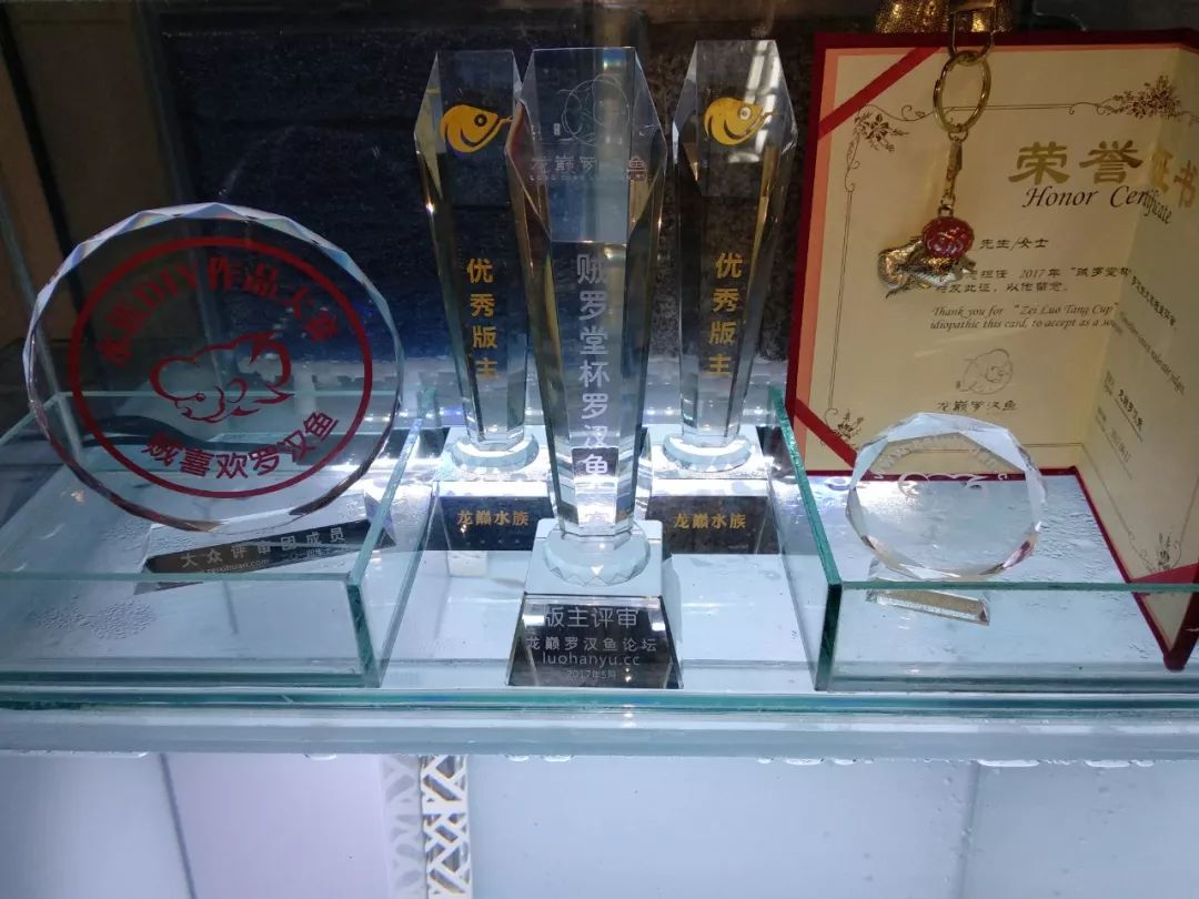 大神「鱼勇」DIY一缸多用“直播”教程，好缸无需再等