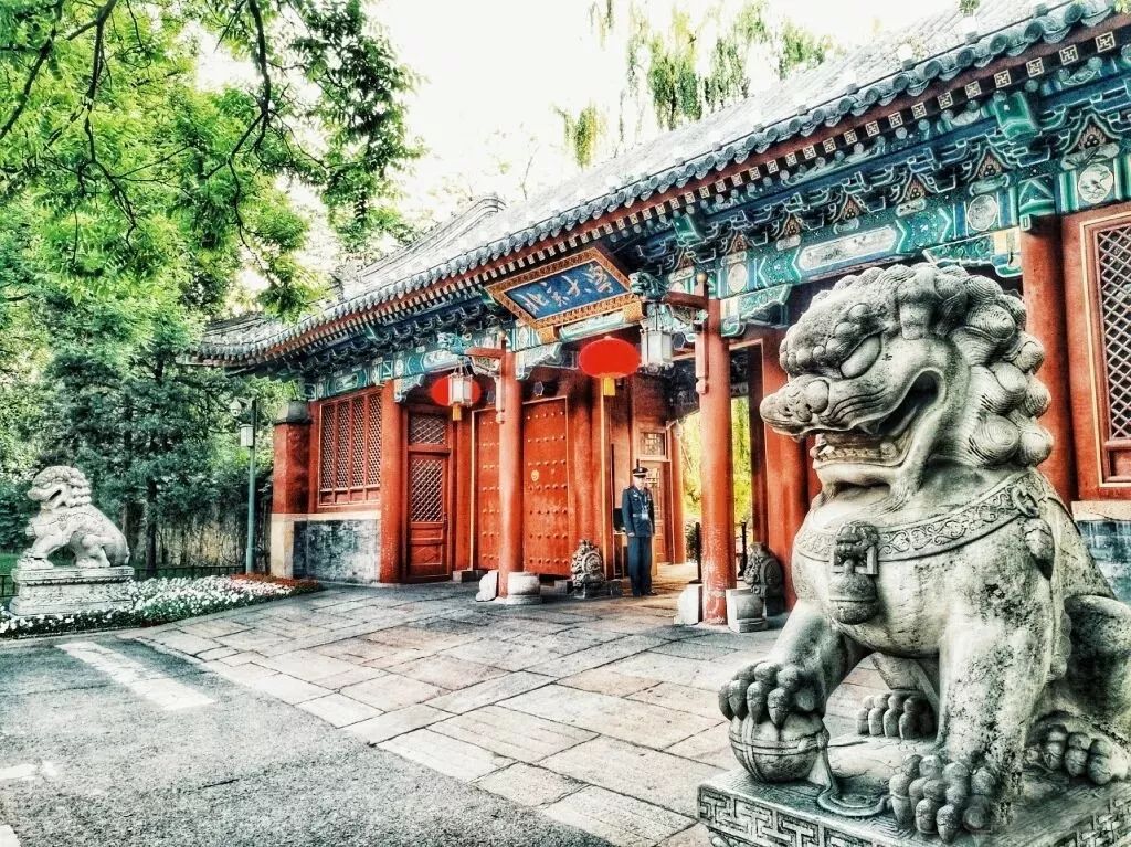 山东高校改革概念股,山东大学改革