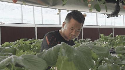 夏邑县美丽乡村介绍,美丽乡村之全景地图夏邑